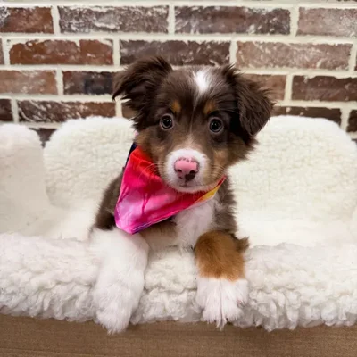 image_cropper_360DF9E0-55E0-49D2-B0CC-7BAE93F899D0-18363-0000081F190D3CFB.jpg