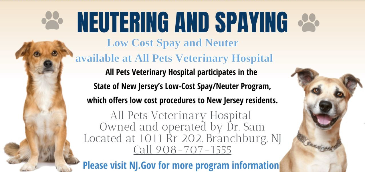 Spay and Neuter Services