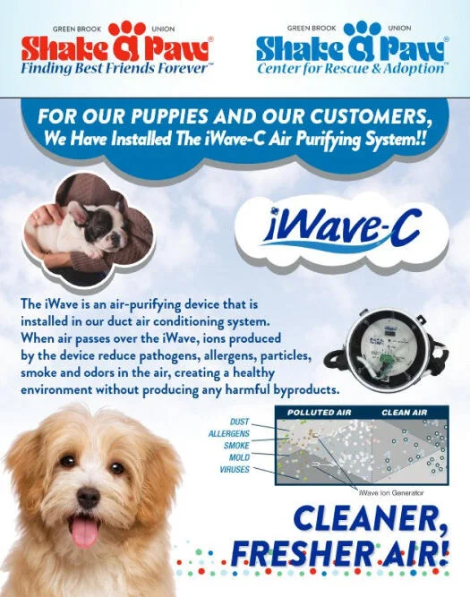 iWave-C
